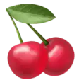 Fruit 10